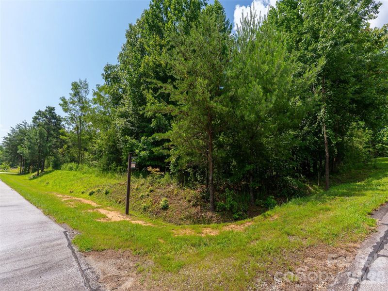 Natural landscape and outdoor views near  in Mill Spring (Image 17).