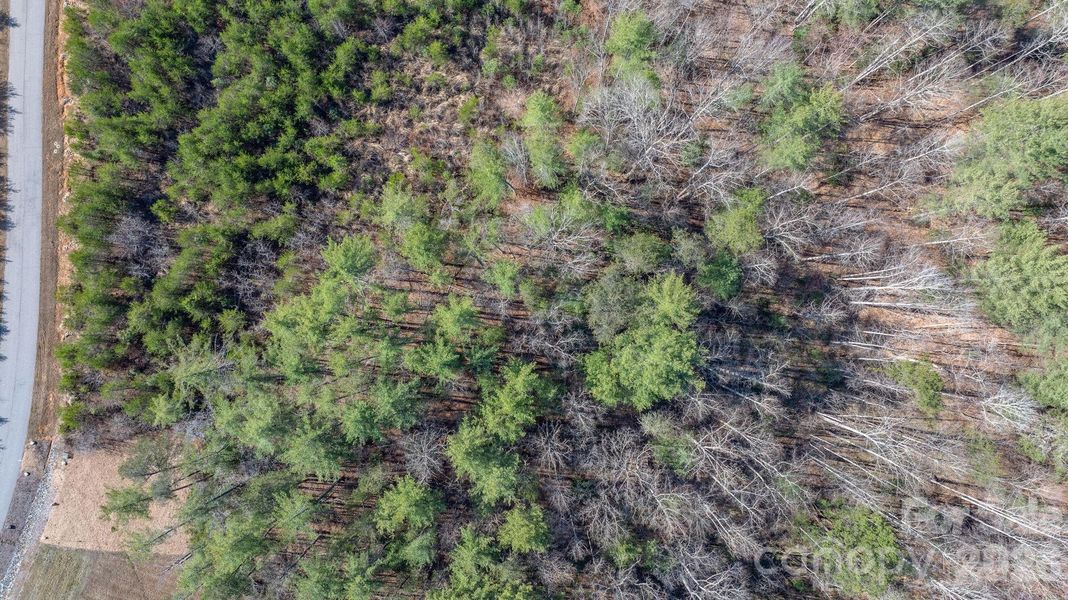 Natural landscape and outdoor views near  in Morganton (Image 25).