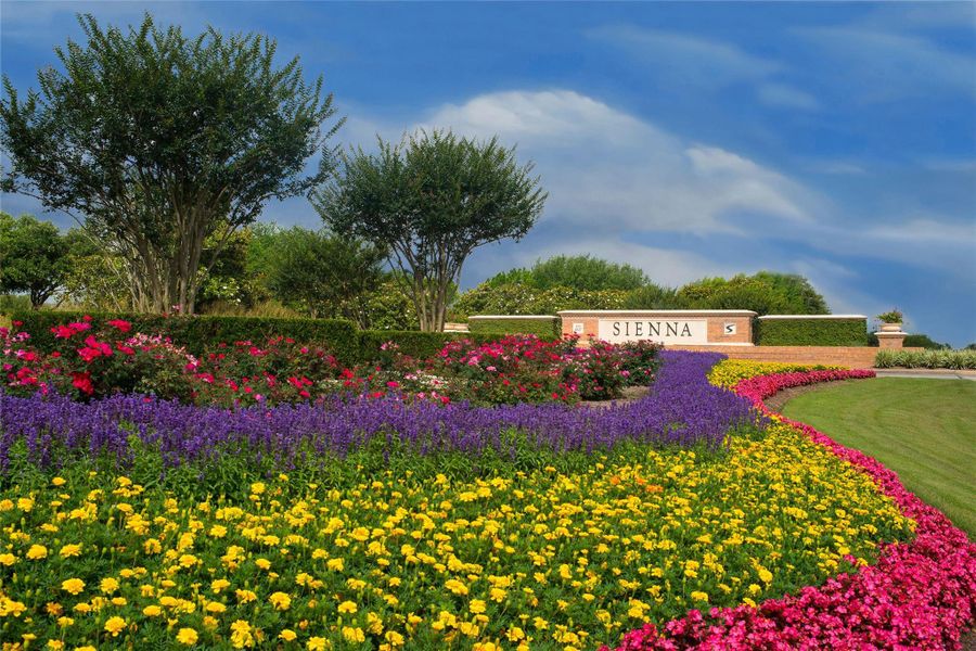 Image 26 of a home in Sienna. Image 26 of a home in Sienna.