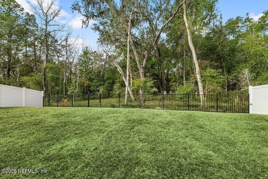 Natural landscape and outdoor views near  in Middleburg (Image 39).