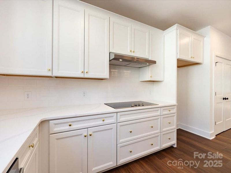 Electric Cooktop and Designer Vent Hood