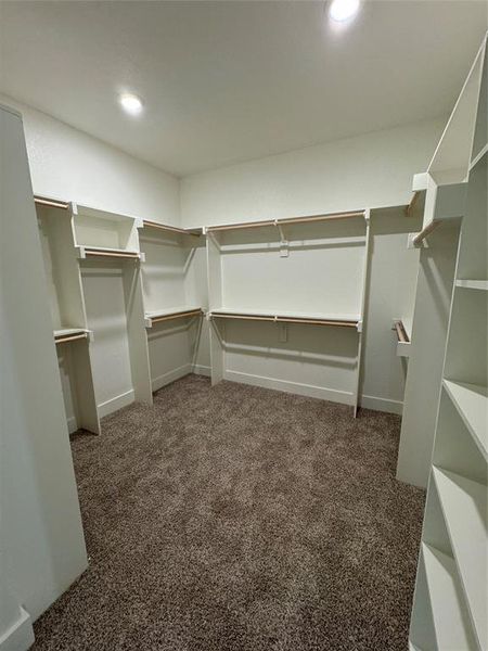 Spacious closet featuring dark colored carpet