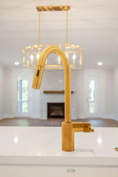 Close-up of interior finishes inside a home in Kings River Preserve, Hollywood (Image 15).