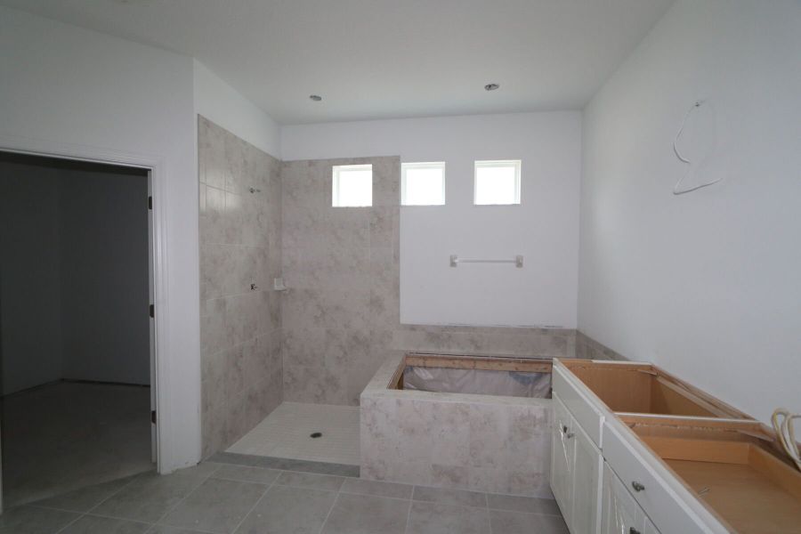 Owner's Bathroom