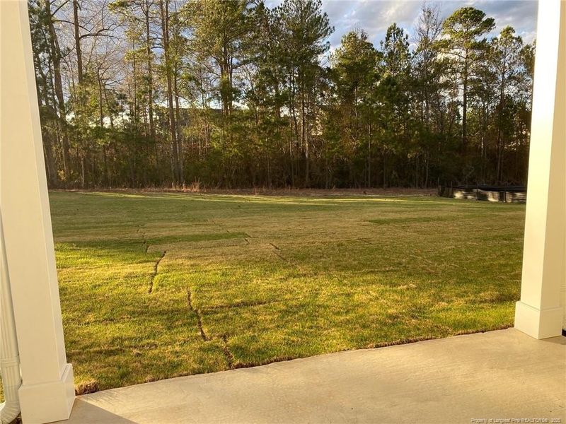 Photo taken: 12/30/2025