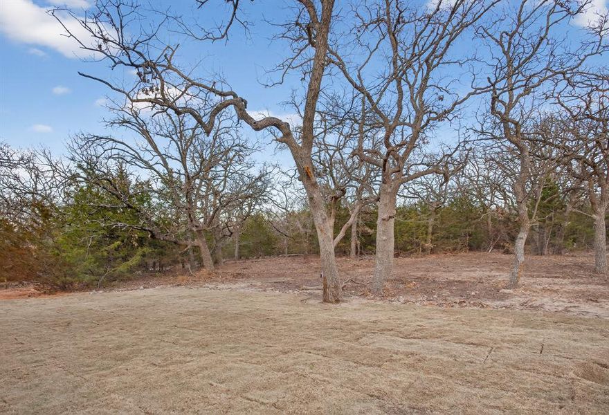 This lot features mature oaks and cedars which will be beautiful this spring in North Texas!