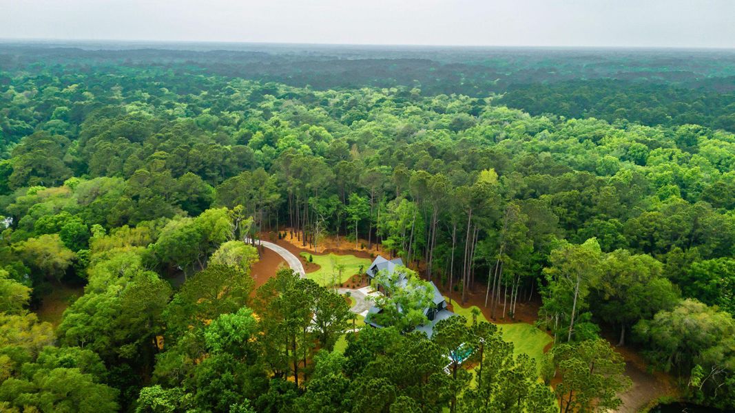 Natural landscape and outdoor views near  in Johns Island (Image 121).