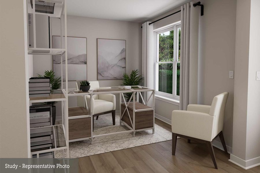 The Courtney - Study The Courtney - Study