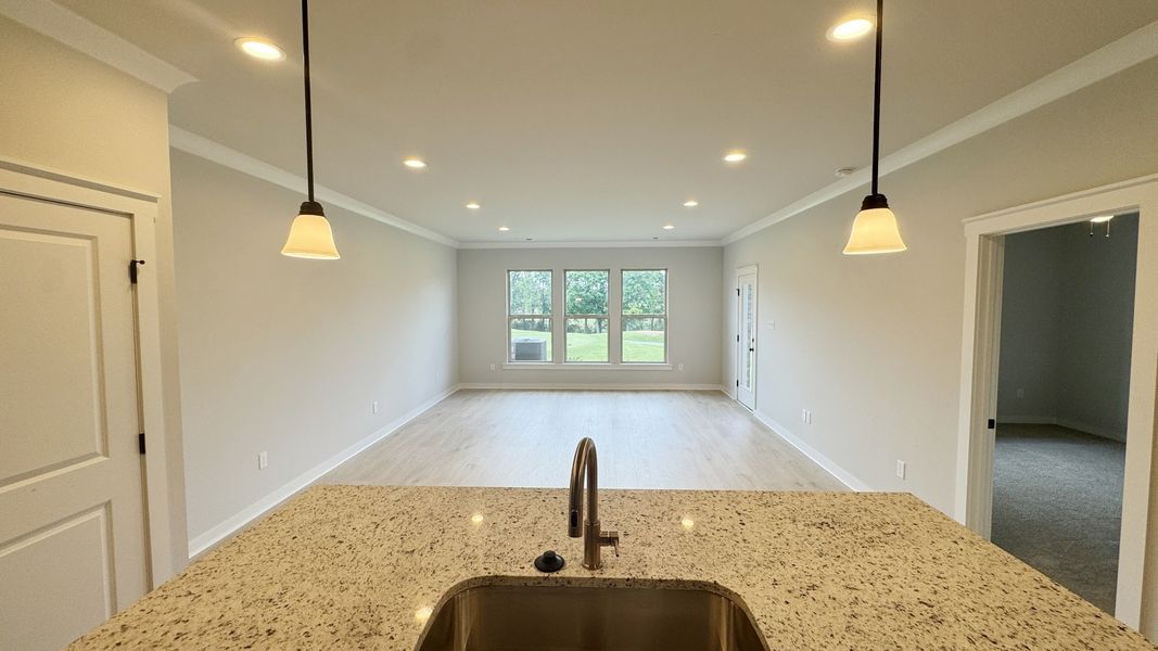 Close-up of interior finishes inside a home in The Greens at Legacy Townhomes, Springfield (Image 9).