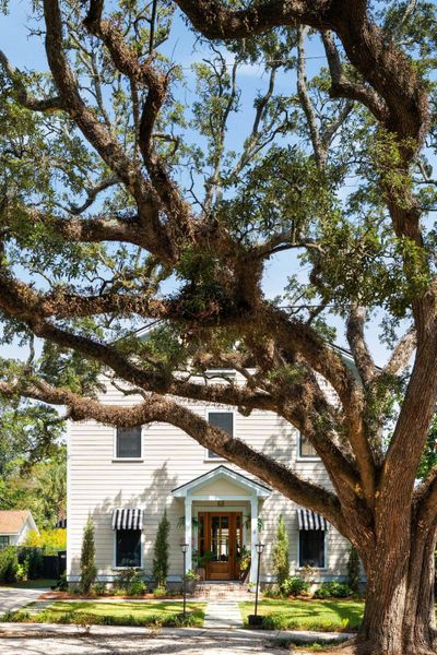 Natural landscape and outdoor views near  in Charleston (Image 90).