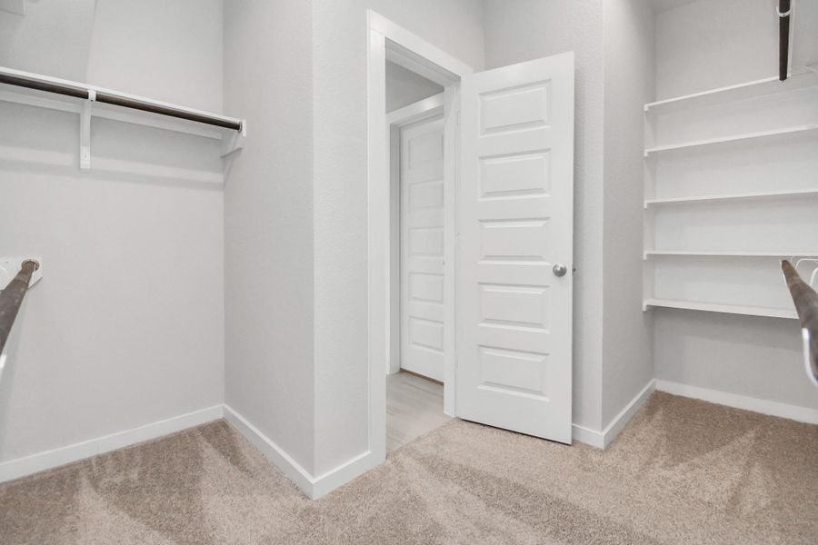 Roomy walk-in closet boasting high ceilings, plush carpeting, and built in shelving. Roomy walk-in closet boasting high ceilings, plush carpeting, and built in shelving.