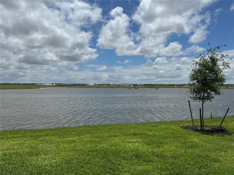 Natural landscape and outdoor views near  in Bradenton (Image 13).