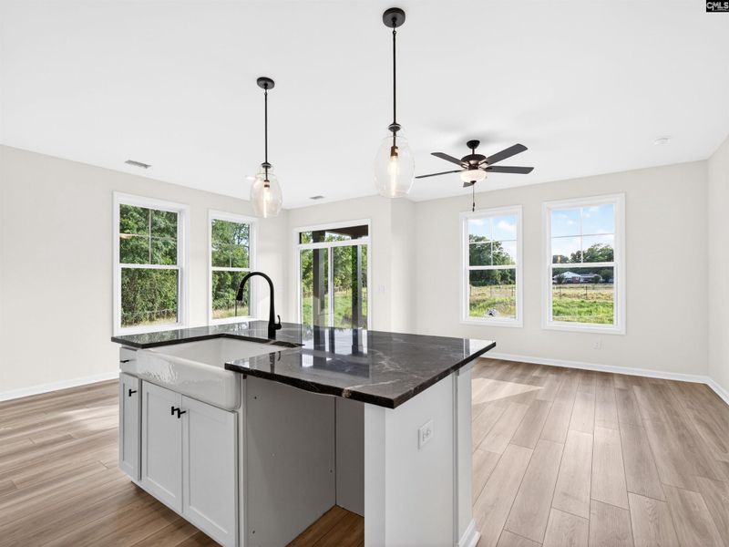 Furnished interior view inside a new home in Dunbar Village, Cayce (Image 7). Furnished interior view inside a new home in Dunbar Village, Cayce (Image 7).