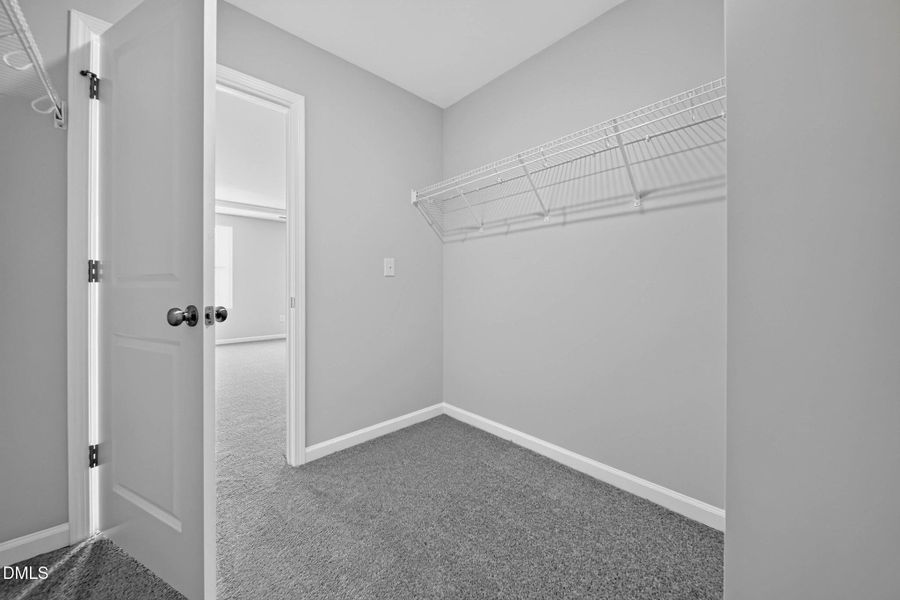 SUN_Rosedale_Pic_Dylan-27