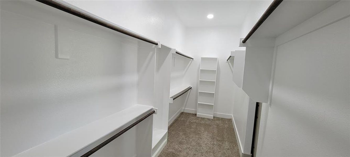 Spacious closet featuring light colored carpet