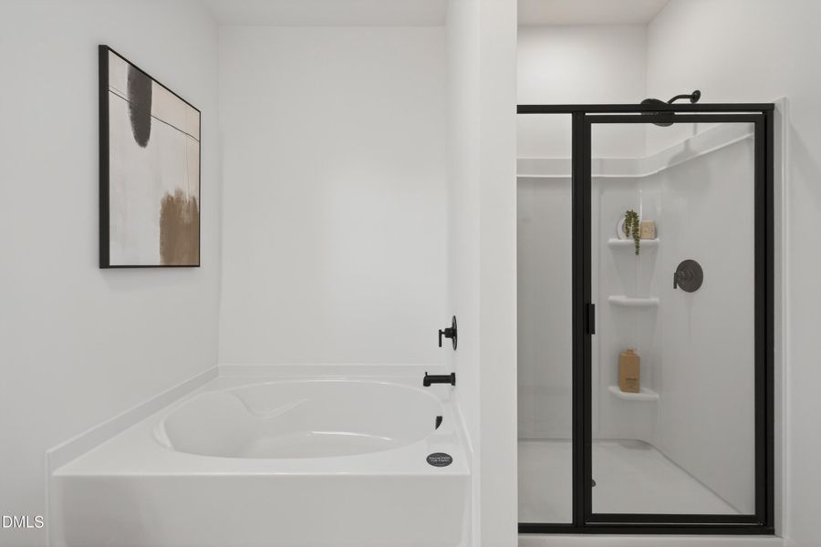 NTR 51 Devin 2098 EA1 IO (23)