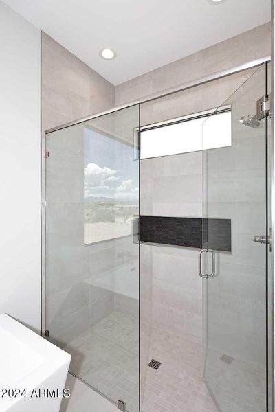 Owner's Bath Shower