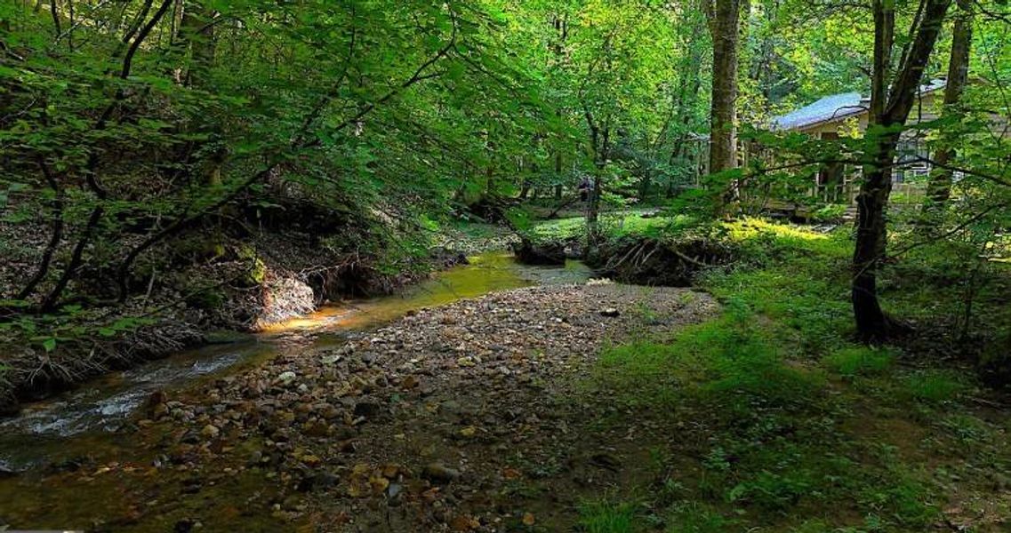 Natural landscape and outdoor views near in Ellijay (Image 10). Natural landscape and outdoor views near in Ellijay (Image 10).