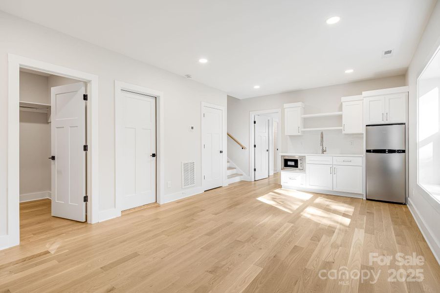 Lower level kitchenette & living room