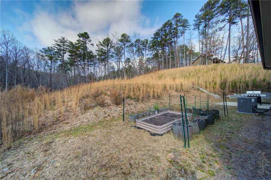 Natural landscape and outdoor views near  in Waleska (Image 38).