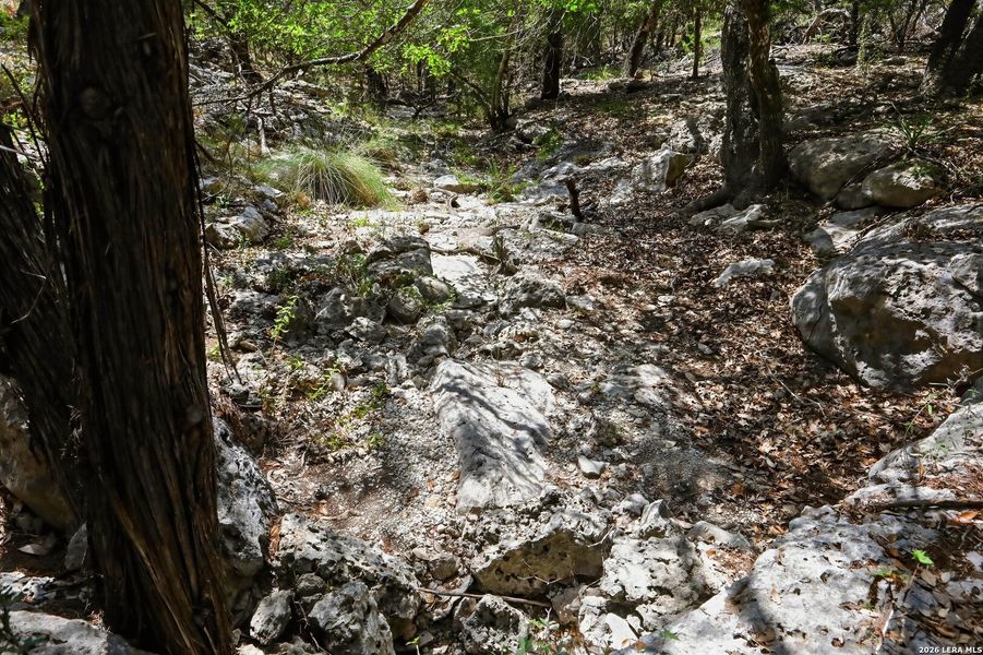 Natural landscape and outdoor views near in Fischer (Image 43). Natural landscape and outdoor views near in Fischer (Image 43).