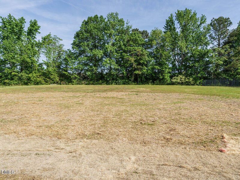 043-1280x960-back-yard