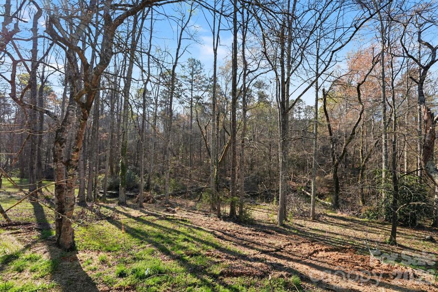 Natural landscape and outdoor views near  in Cherryville (Image 17).