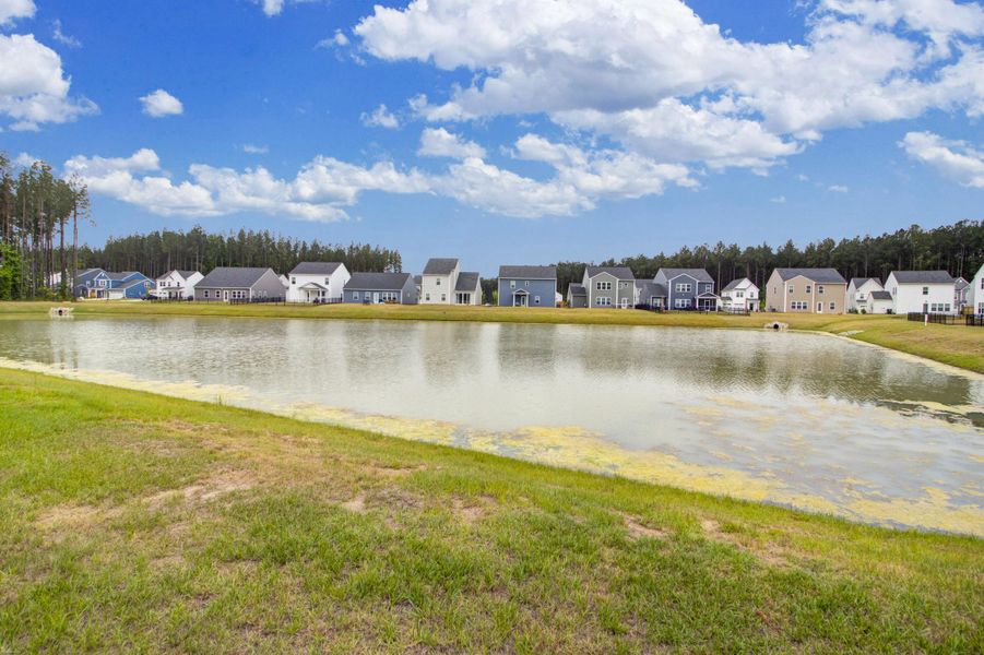 Natural landscape and outdoor views near Homecoming in Ravenel (Image 42).