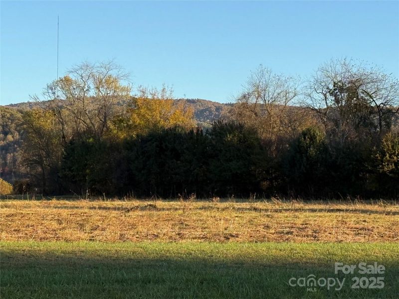 And The view And The view