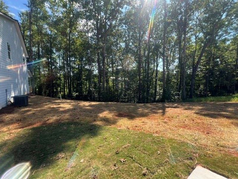 Natural landscape and outdoor views near  in Mount Airy (Image 30).