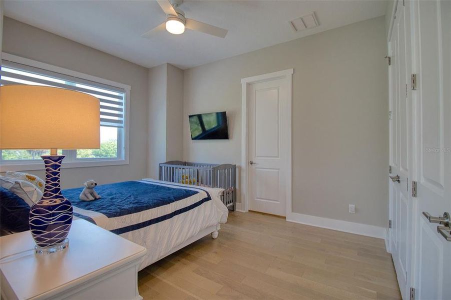 Furnished interior view inside a new home in , Dunedin (Image 17).