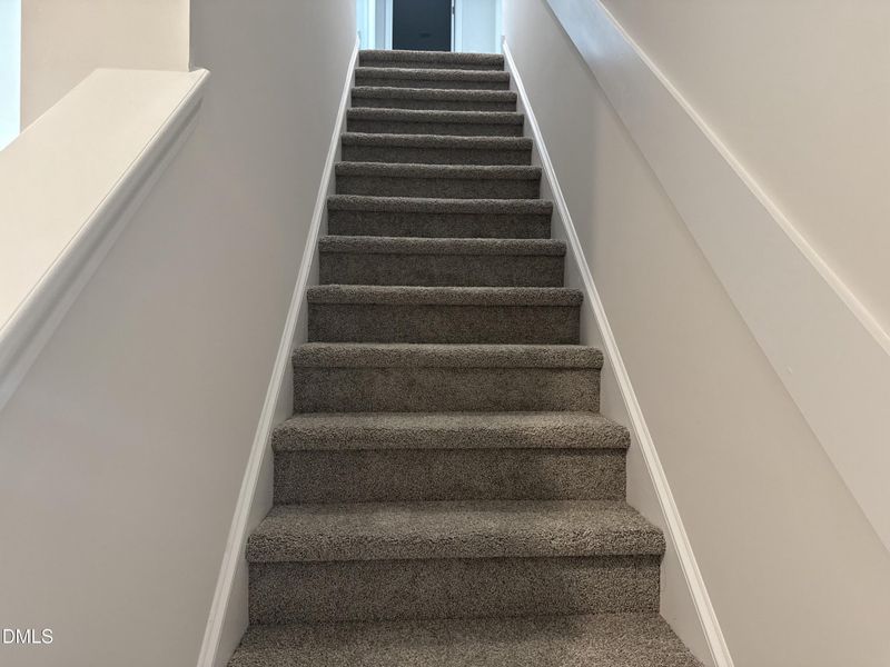 Photo Nov 22 2025, 1 00 05 PM