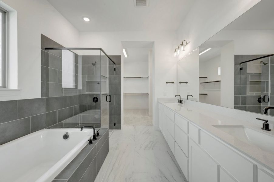 Owner's Bath