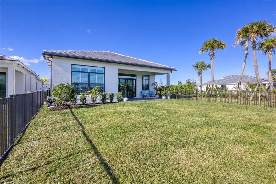 Backyard with Palm trees