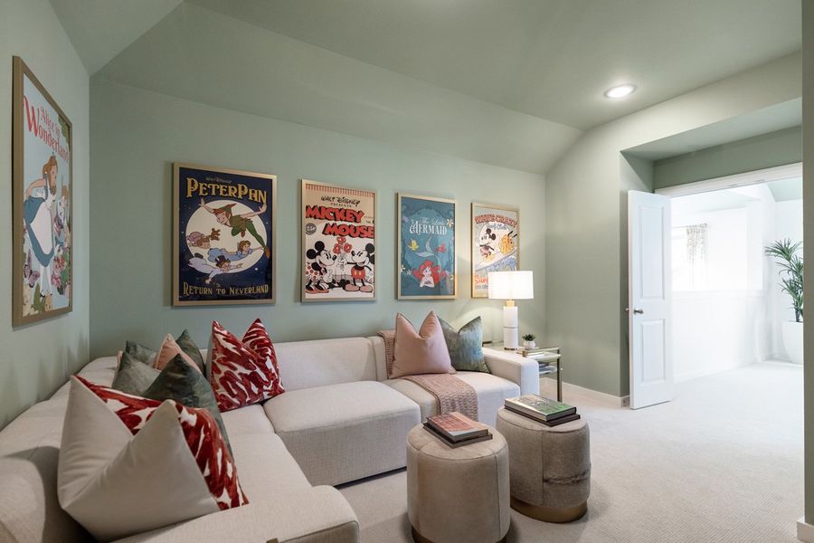 Representative Entertainment Room - some options shown