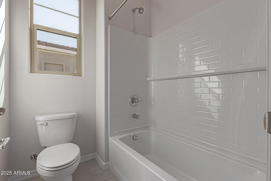 27 - Marguerite 27 - Marguerite