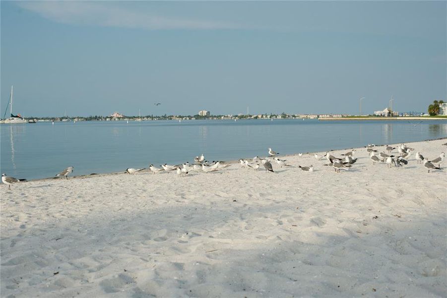 Natural landscape and outdoor views near  in Gulfport (Image 38).