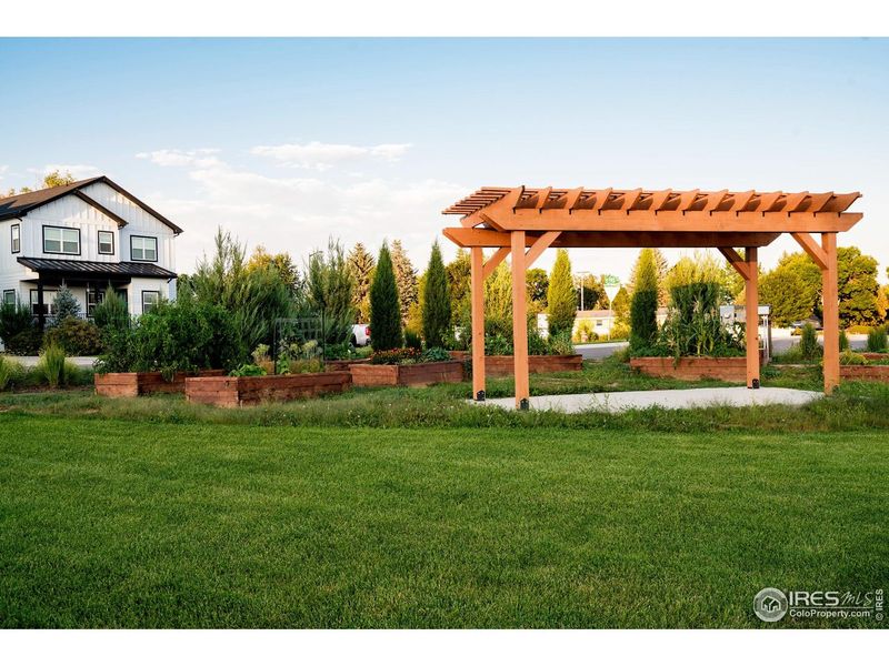 Community amenities in Taft Gardens, Loveland (Image 36).