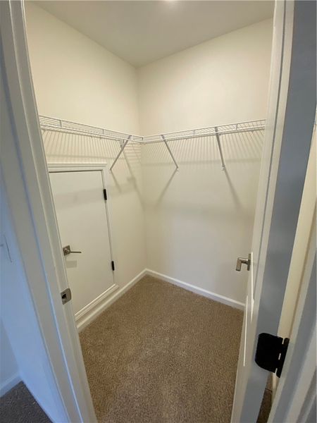 Spacious, unfurnished interior of a new home in Springwood Grove, Central (Image 24).