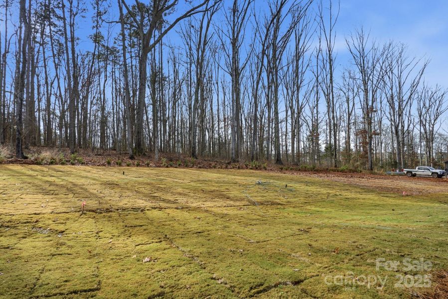 Natural landscape and outdoor views near Villas at Prestwick in Mooresville (Image 40).