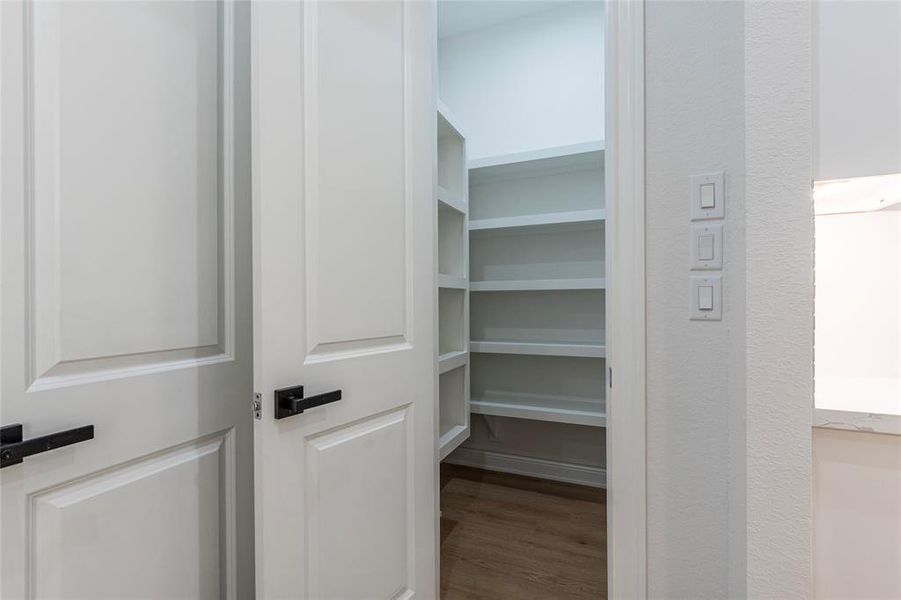 Walk-in pantry with plenty of shelving