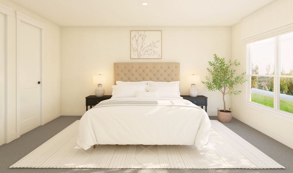 Extra Suite Extra Suite