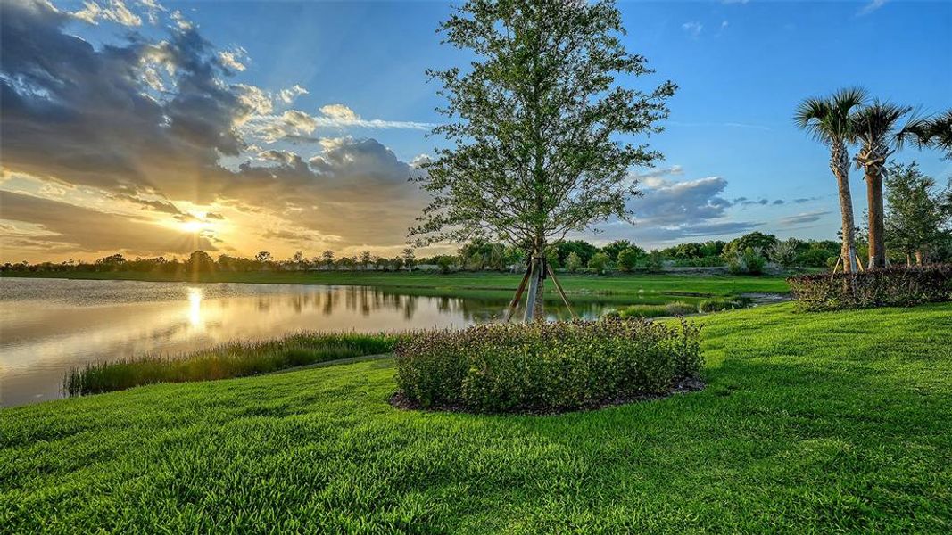 Natural landscape and outdoor views near  in Sarasota (Image 85).