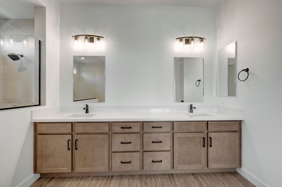 Owner's Bath