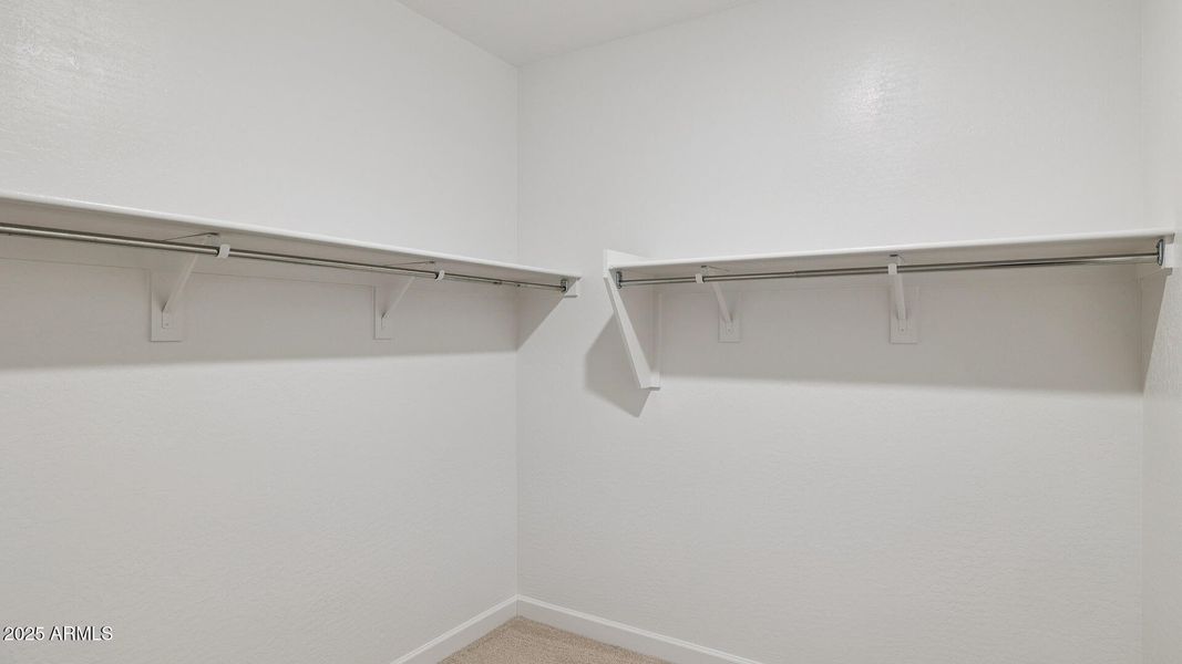 3985_Phoenician_Lot 2081_Aloravita_Peori 3985_Phoenician_Lot 2081_Aloravita_Peori