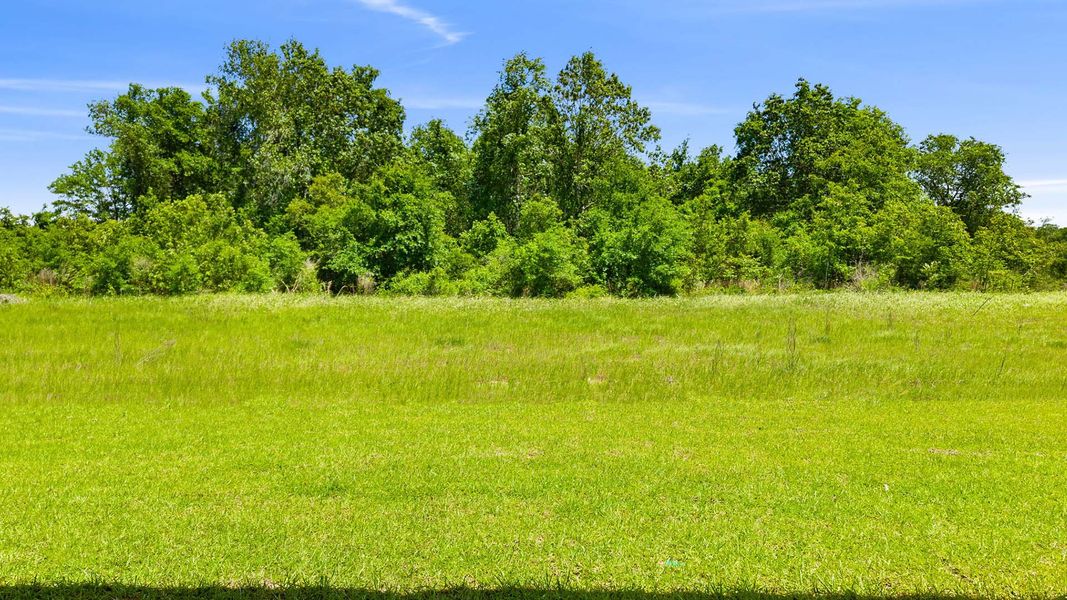 Natural landscape and outdoor views near Owl's Head Farms in Freeport (Image 31).