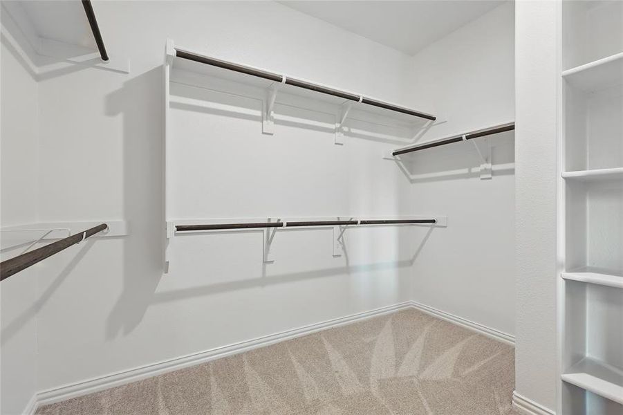 Spacious closet featuring carpet flooring Spacious closet featuring carpet flooring