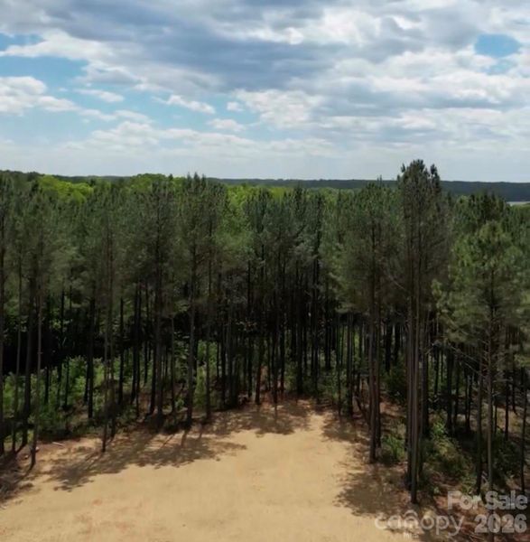 Natural landscape and outdoor views near  in Taylorsville (Image 13).