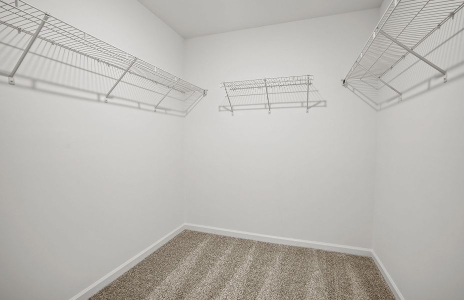 Spacious, unfurnished interior of a new home in Mallard Park, Charlotte (Image 36).
