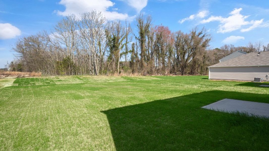 Natural landscape and outdoor views near Madeline Farm in New Bern (Image 32).